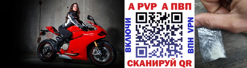 Alfa_PVP СК КРИС  Терек 